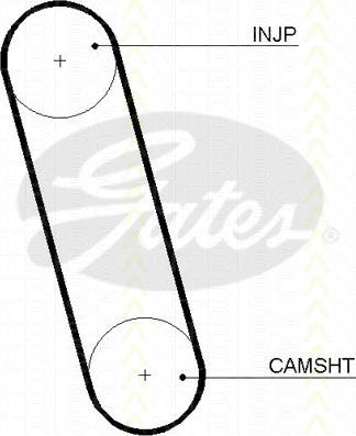 Triscan 8645 5100 - Courroie de distribution droxauto.com