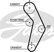 Triscan 8645 t245 - Courroie de distribution droxauto.com