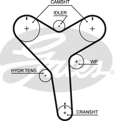 Triscan 8645 t257 - Courroie de distribution droxauto.com