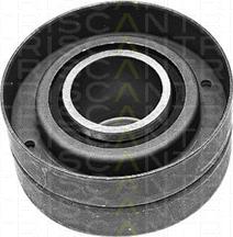 Triscan 8646 10213 - Poulie renvoi / transmission, courroie de distribution droxauto.com