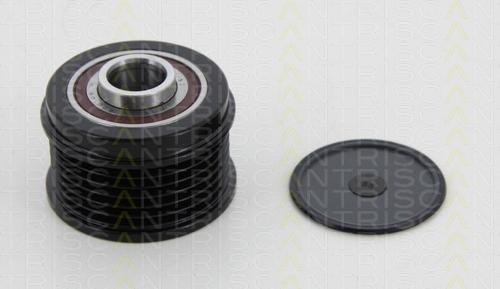 Triscan 8641 154010 - Poulie, alternateur droxauto.com