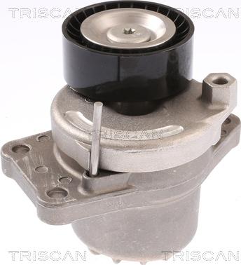 Triscan 8641 103051 - Tendeur de courroie, courroie trapézoïdale à nervures droxauto.com