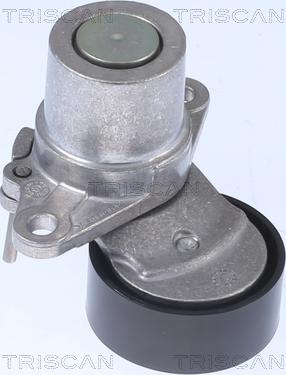 Triscan 8641 293056 - Tendeur de courroie, courroie trapézoïdale à nervures droxauto.com
