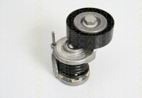 Triscan 8641 293021 - Tendeur de courroie, courroie trapézoïdale à nervures droxauto.com