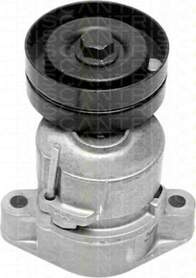 Triscan 8641 243001 - Tendeur de courroie, courroie trapézoïdale à nervures droxauto.com