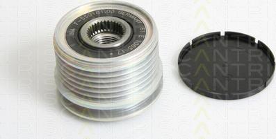 Triscan 8641 254005 - Poulie, alternateur droxauto.com