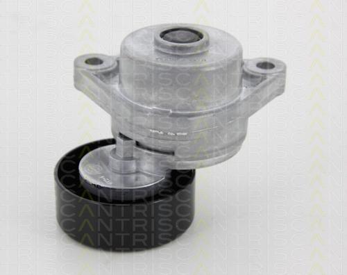 Triscan 8641 213001 - Tendeur de courroie, courroie trapézoïdale à nervures droxauto.com