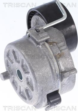 Triscan 8641 283010 - Tendeur de courroie, courroie trapézoïdale à nervures droxauto.com