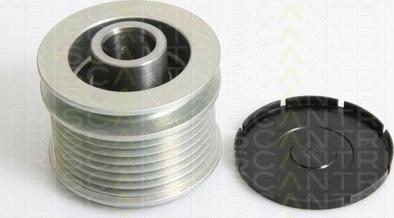 Triscan 8641 234019 - Poulie, alternateur droxauto.com