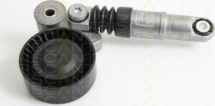 Triscan 8641 233015 - Tendeur de courroie, courroie trapézoïdale à nervures droxauto.com