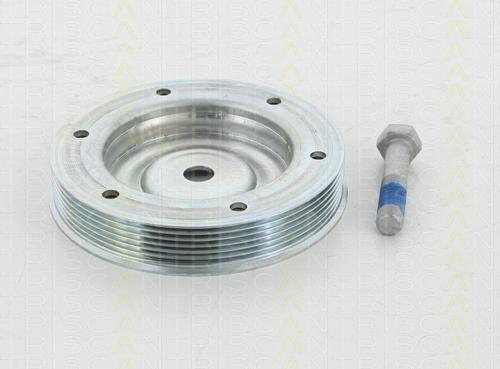 Triscan 8643 10006a - Poulie, vilebrequin droxauto.com