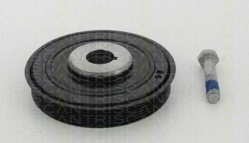Triscan 8643 10001a - Poulie, vilebrequin droxauto.com