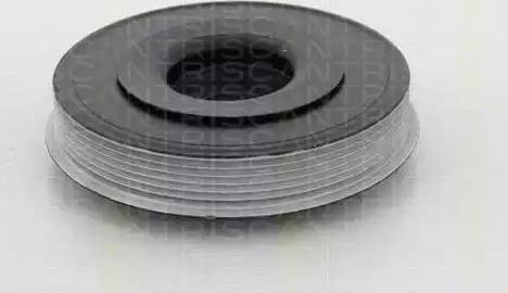 Triscan 8643 10001 - Poulie, vilebrequin droxauto.com