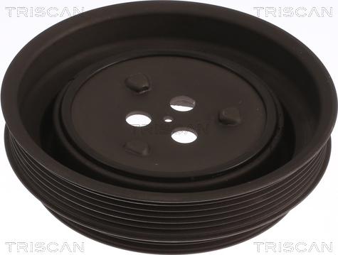 Triscan 8643 10021 - Poulie, vilebrequin droxauto.com