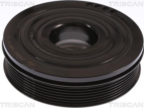 Triscan 8643 11009 - Poulie, vilebrequin droxauto.com