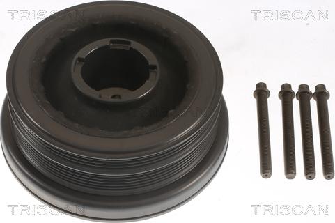 Triscan 8643 11008a - Poulie, vilebrequin droxauto.com