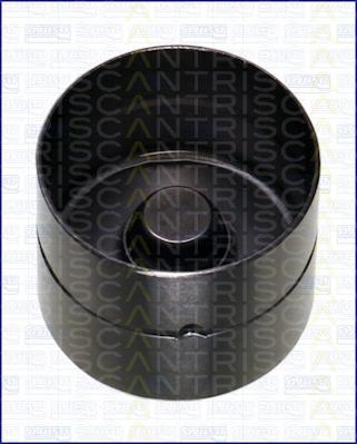 Triscan 80-16002 - Poussoir de soupape droxauto.com
