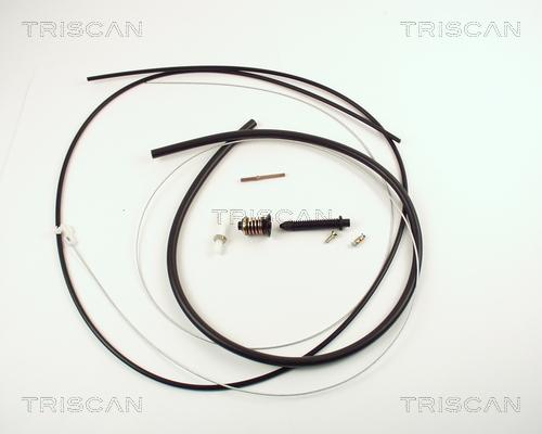 Triscan 8140 25315 - Câble d'accélération droxauto.com