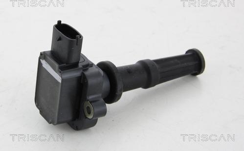 Triscan 8860 16031 - Bobine d'allumage droxauto.com