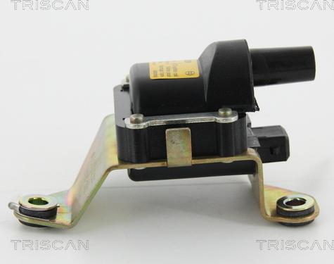 Triscan 8860 13033 - Bobine d'allumage droxauto.com