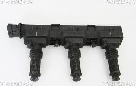Triscan 8860 24011 - Bobine d'allumage droxauto.com