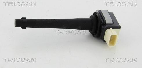Triscan 8860 25007 - Bobine d'allumage droxauto.com