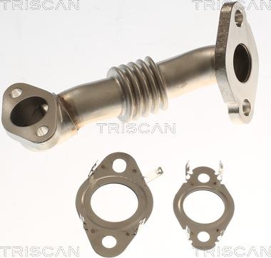 Triscan 8811 29000 - Tuyauterie, vanne EGR droxauto.com