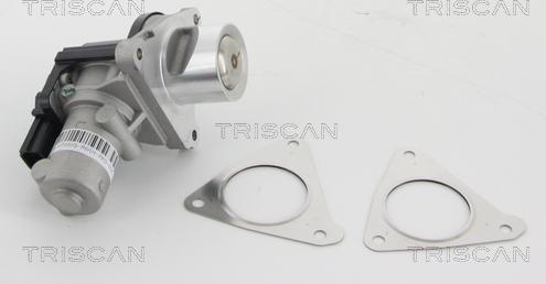 Triscan 8813 43010 - Vanne EGR droxauto.com