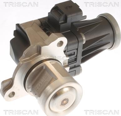 Triscan 8813 10053 - Vanne EGR droxauto.com