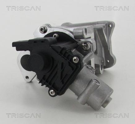 Triscan 8813 10007 - Vanne EGR droxauto.com