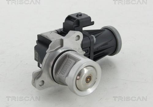 Triscan 8813 10016 - Vanne EGR droxauto.com