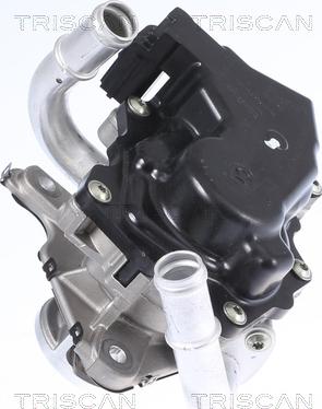 Triscan 8813 29058 - Vanne EGR droxauto.com