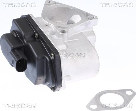 Triscan 8813 29003 - Vanne EGR droxauto.com