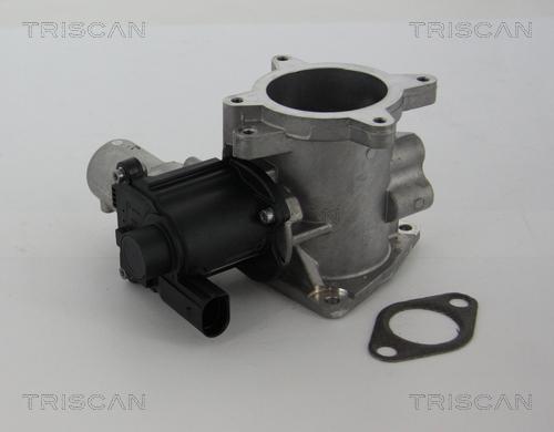 Triscan 8813 29105 - Vanne EGR droxauto.com