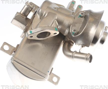 Triscan 8813 29347 - Vanne EGR droxauto.com