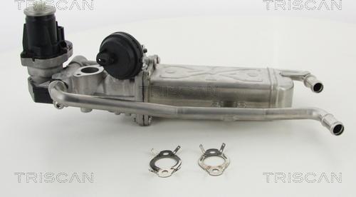 Triscan 8813 29325 - Vanne EGR droxauto.com