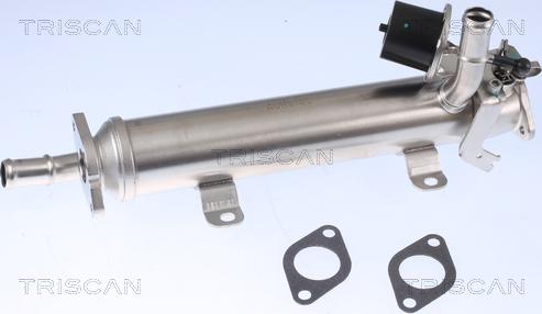 Triscan 8813 29322 - Radiateur, réaspiration des gaz d'échappement droxauto.com