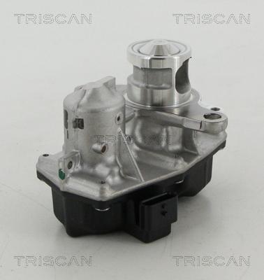 Triscan 8813 25042 - Vanne EGR droxauto.com