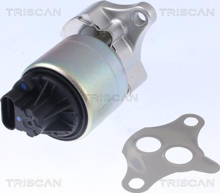 Triscan 8813 21001 - Vanne EGR droxauto.com