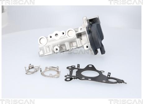 Triscan 8813 23041 - Vanne EGR droxauto.com