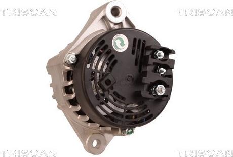 Triscan 8310 10113 - Alternateur droxauto.com