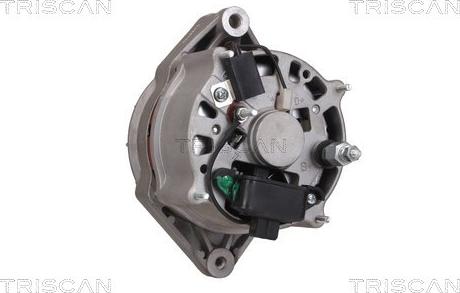 Triscan 8310 11013 - Alternateur droxauto.com