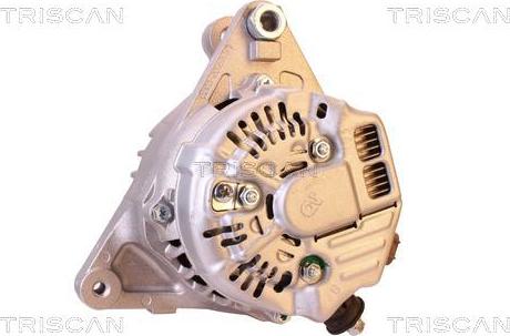 Triscan 8310 13047 - Alternateur droxauto.com