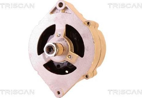 Triscan 8310 29032 - Alternateur droxauto.com