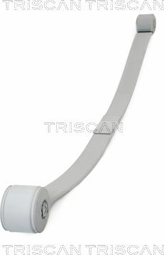 Triscan 8765 16046 - Groupe de ressorts droxauto.com