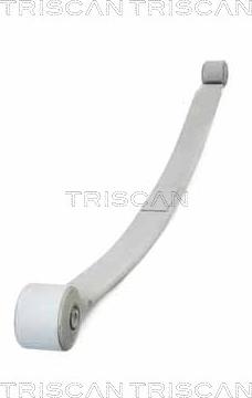 Triscan 8765 16058 - Groupe de ressorts droxauto.com