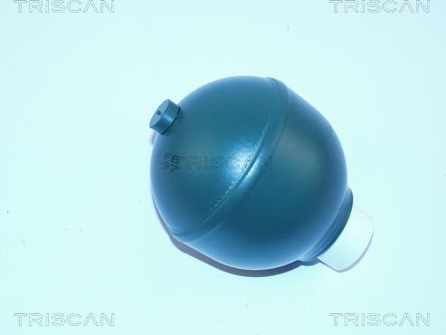 Triscan 8760 38112 - Accumulateur de pression, suspension / amortissement droxauto.com