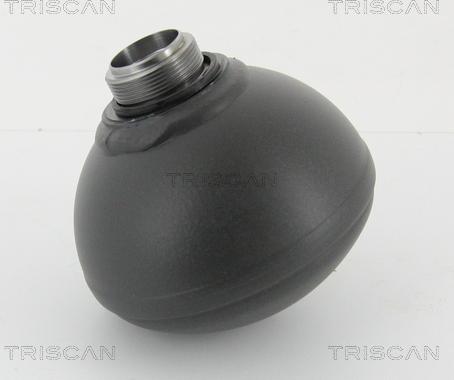 Triscan 8760 38237 - Accumulateur de pression, suspension / amortissement droxauto.com
