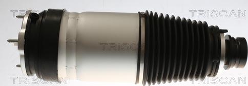 Triscan 8720 81101 - Ressort pneumatique, châssis droxauto.com
