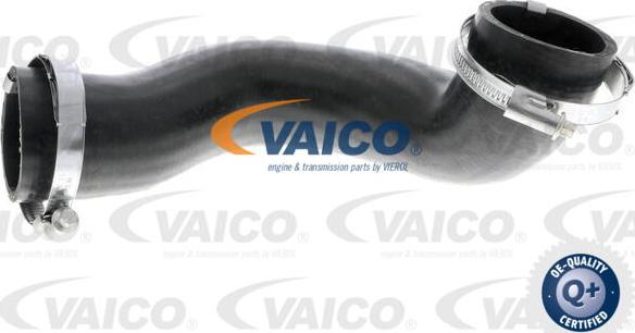 VAICO V95-0411 - Gaine de suralimentation droxauto.com